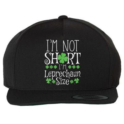 Funny Leprechaun Size St Patricks Day Wool Snapback Cap