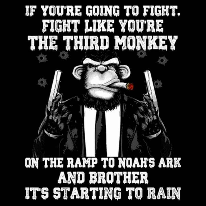 Fight Like The Third Monkey On Noah's Ark Daily Commute Backpack
