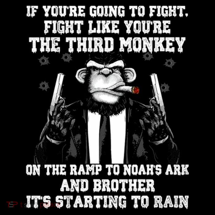 Fight Like The Third Monkey On Noah's Ark Sustainable Knit Beanie
