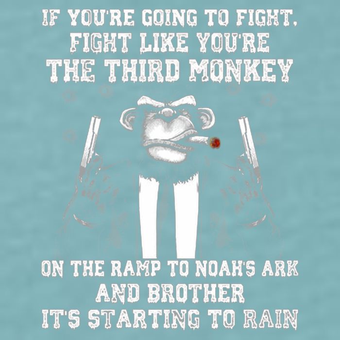 Fight Like The Third Monkey On Noah's Ark Sueded Cloud Jersey T-Shirt