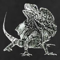 Frilled Lizard Terrarium Motif Reptiles Frilled Lizards Adult Drive Performance Visor