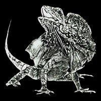Frilled Lizard Terrarium Motif Reptiles Frilled Lizards 16 in Basic Backpack