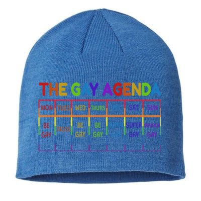 Funny Lgbtq The Gay Agendas Gift Sustainable Beanie