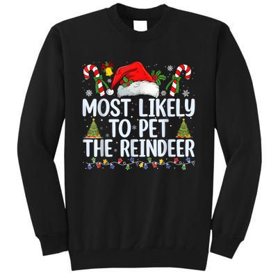 Funny Likely To Pet The Reindeer Squad Family Joke Christmas Tall Sweatshirt