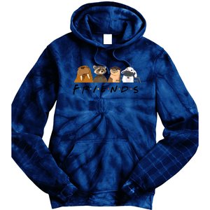 Friends Lylla Teefs Floor Rocket And Friends Cute Matching Guardian Tie Dye Hoodie