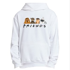 Friends Lylla Teefs Floor Rocket And Friends Cute Matching Guardian Urban Pullover Hoodie