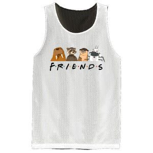 Friends Lylla Teefs Floor Rocket And Friends Cute Matching Guardian Mesh Reversible Basketball Jersey Tank