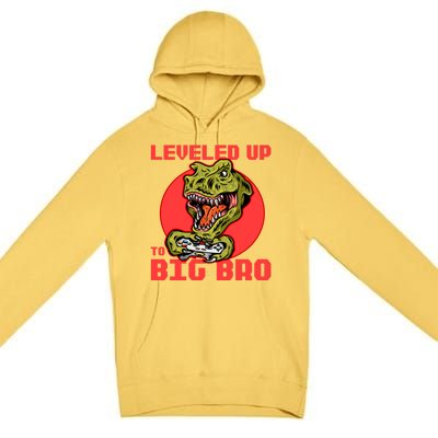 Funny Leveled Up To Big Bro Gamer Gaming Lovers Brother Great Gift Premium Pullover Hoodie