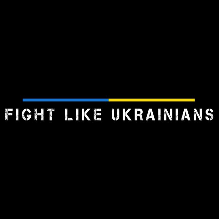 Official Fight Like Ukrainians Women's V-Neck T-Shirt