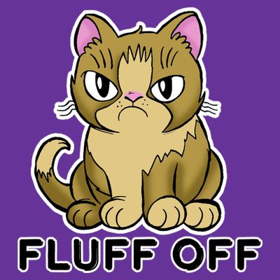 Fluff Off Funny Cat T-Shirt