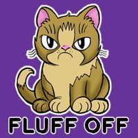 Fluff Off Funny Cat Hat