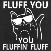 Fluff You You Fluffin' Fluff Funny Cat Cool Comfort Performance Bucket Hat