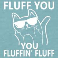 Fluff You You Fluffin' Fluff Funny Cat Sueded Cloud Jersey T-Shirt