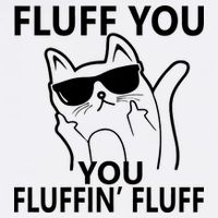 Fluff You You Fluffin' Fluff Funny Cat Garment-Dyed Sweatshirt