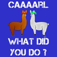 Funny Llama With Hats Gift Lama With Hat Carl What Did You Do Gift Stripe Pom Pom Beanie