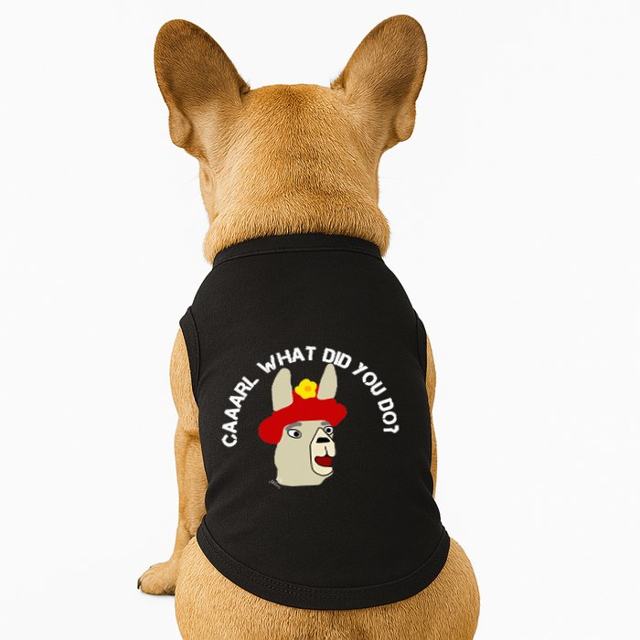 funny llama with hats lama with hat carl what did you do  Doggie Tank