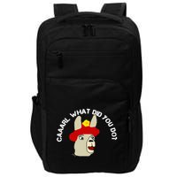 funny llama with hats lama with hat carl what did you do  Impact Tech Backpack