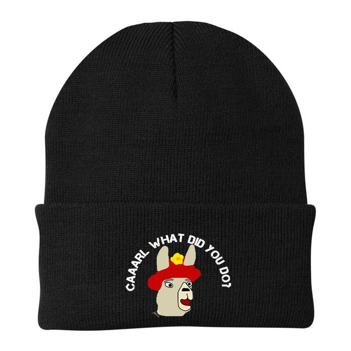 funny llama with hats lama with hat carl what did you do  Beanie