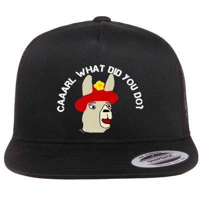 funny llama with hats lama with hat carl what did you do  Flatbill Hat