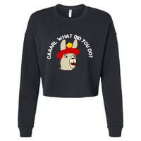 funny llama with hats lama with hat carl what did you do  Cropped Pullover Crew
