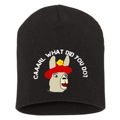 funny llama with hats lama with hat carl what did you do  Short Acrylic Beanie
