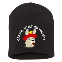 funny llama with hats lama with hat carl what did you do  Short Acrylic Beanie