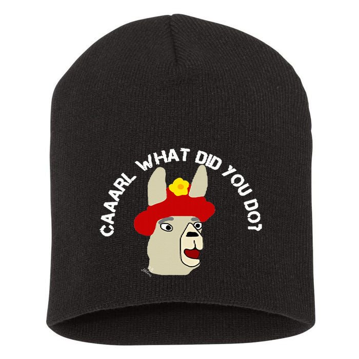 funny llama with hats lama with hat carl what did you do  Short Acrylic Beanie