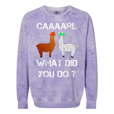 funny llama with hats lama with hat carl what did you do  Colorblast Crewneck Sweatshirt