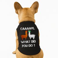 funny llama with hats lama with hat carl what did you do  Doggie Tank