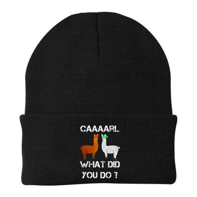 funny llama with hats lama with hat carl what did you do  Beanie