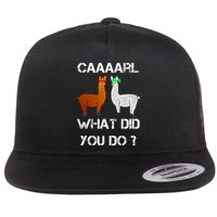 funny llama with hats lama with hat carl what did you do  Flatbill Hat