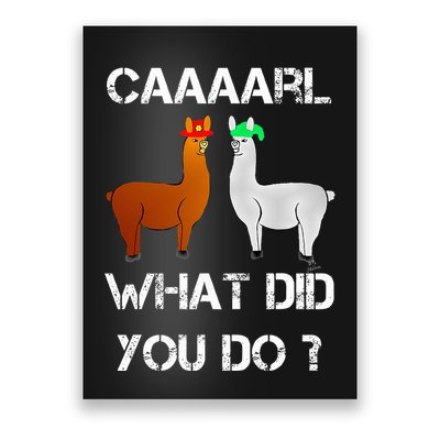 funny llama with hats lama with hat carl what did you do  Poster