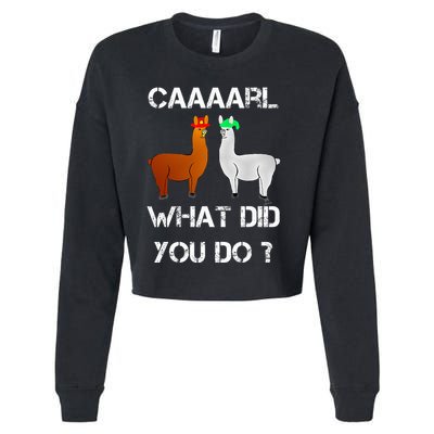 funny llama with hats lama with hat carl what did you do  Cropped Pullover Crew