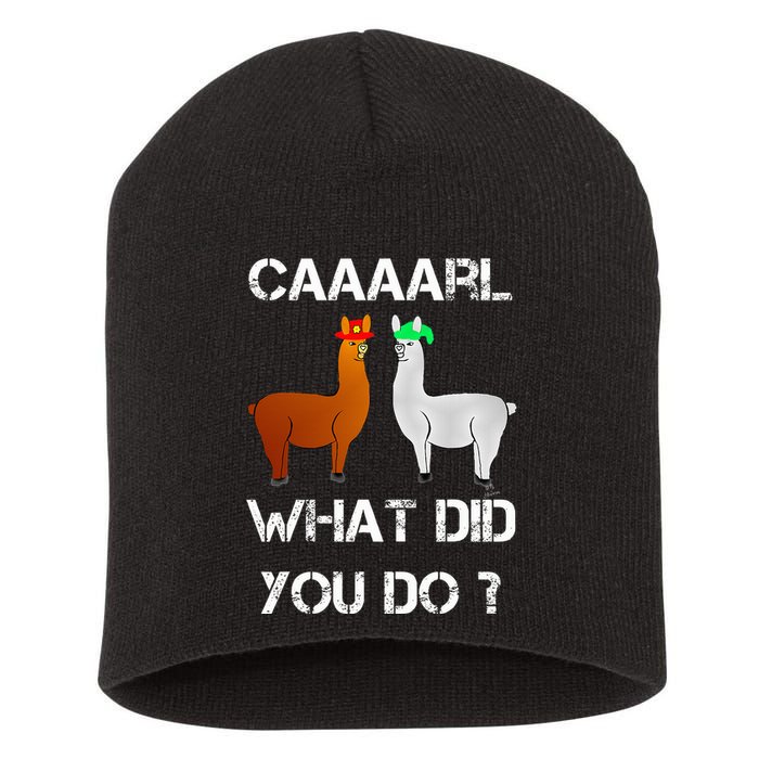 funny llama with hats lama with hat carl what did you do  Short Acrylic Beanie