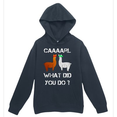 funny llama with hats lama with hat carl what did you do  Urban Pullover Hoodie