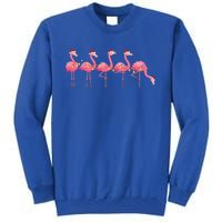 Flamingos Lover Xmas Lighting Santa Pink Flamingo Christmas Gift Tall Sweatshirt