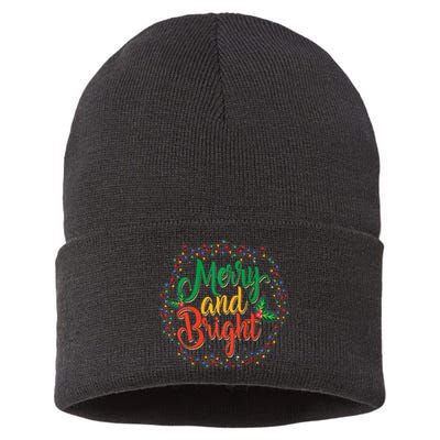 Funny Merry And Bright Christmas Lights Family Xmas Holidays Premium Sustainable Knit Beanie