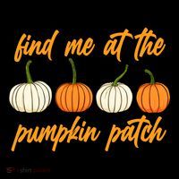 Find Me At The Pumpkin Patch Cute T-Shirt