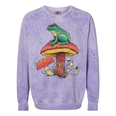 Frog Mushroom Animal Motif Woman Man Mushrooms Animal Colorblast Crewneck Sweatshirt