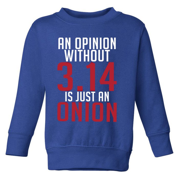 Funny Math An Opinion Without 3 14 Just Onion Pi Day Gift Toddler Sweatshirt