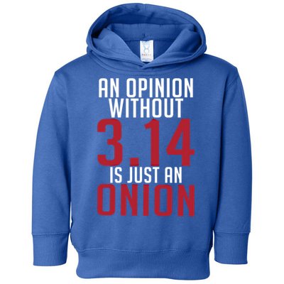 Funny Math An Opinion Without 3 14 Just Onion Pi Day Gift Toddler Hoodie