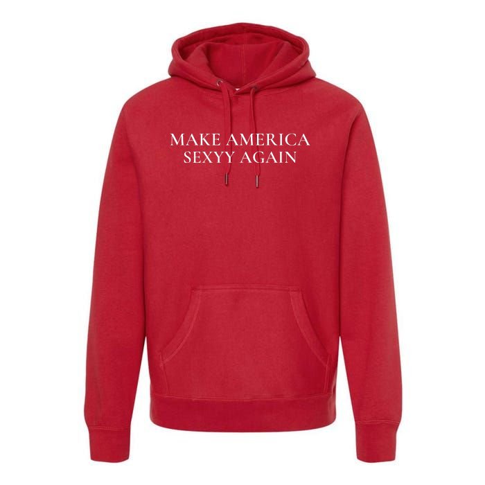 Funny Make America Sexyy Again Premium Hoodie