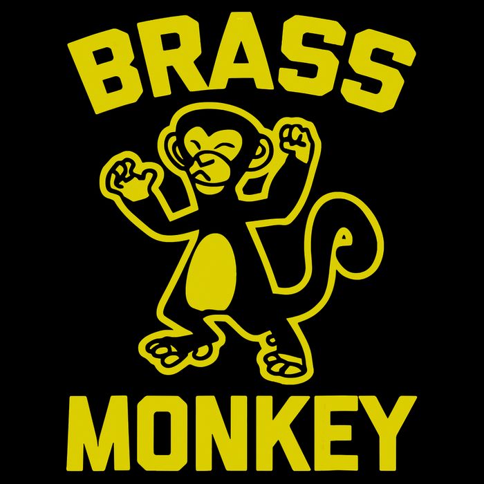 Funky Monkey Brass Monkey Women's V-Neck T-Shirt