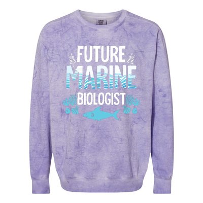 Future Marine Biologist Gift For Teens Funny Biology Colorblast Crewneck Sweatshirt