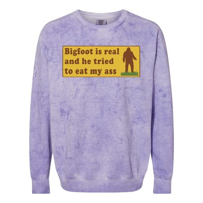 Funny Meme Bigfoot Is Real And He Tried To Eat My Ass Colorblast Crewneck Sweatshirt