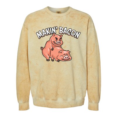 Funny Making Bacon For Women Cool Pig Bacon Joke Colorblast Crewneck Sweatshirt