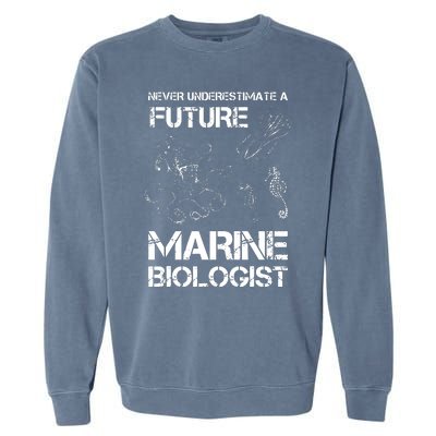 Future Marine Biologist Garment-Dyed Sweatshirt