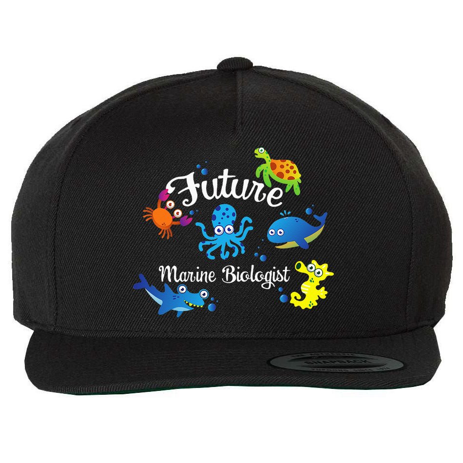 Future Marine Biologist Job Ocean Animal Lover Whale Turtle Wool Snapback Cap