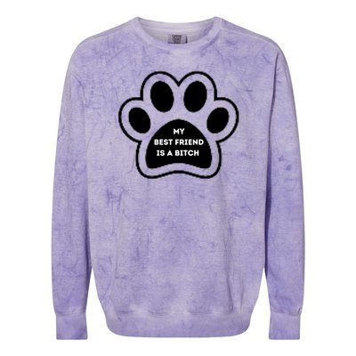 Funny My Best Friend Is A Bitch! Dog Lover Colorblast Crewneck Sweatshirt