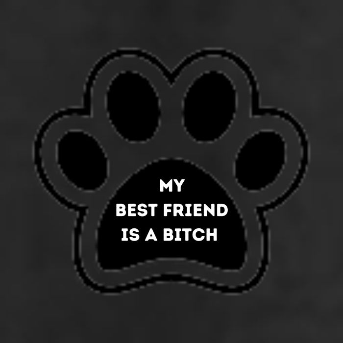 Funny My Best Friend Is A Bitch! Dog Lover 7 Panel Mesh Trucker Snapback Hat